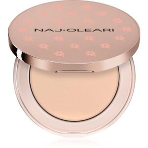 Naj Oleari Ultimate Cover Concealer krycí korektor odstín 00 Ivory 3 g obraz