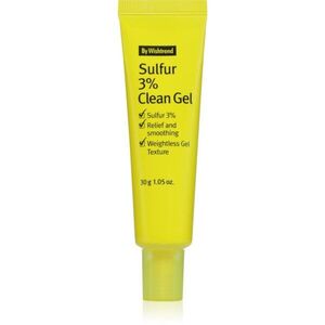 By Wishtrend Sulfur 3% Clean Gel lehký hydratační gelový krém pro mastnou pleť se sklonem k akné 30 g obraz