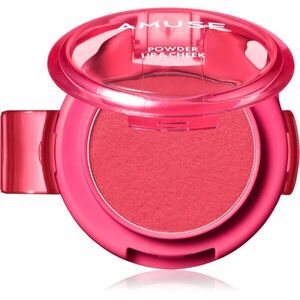 AMUSE Powder Lip & Cheek krémový pudr na rty a tváře odstín 10 Scoop 4 g obraz