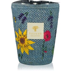 Baobab Collection Vony Tanteli vonná svíčka 3000 g obraz