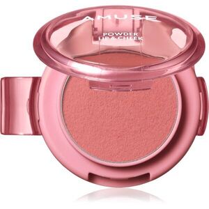 AMUSE Powder Lip & Cheek krémový pudr na rty a tváře odstín 03 Mocha 4 g obraz