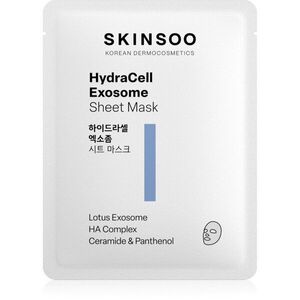 SKINSOO HydraCell Exosome Sheet Mask hydratační plátýnková maska 22 g obraz