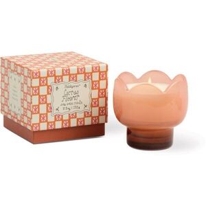 Paddywax Tulip Cactus Flower vonná svíčka 155 g obraz