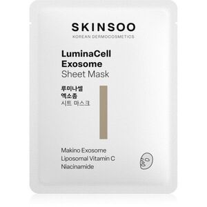 SKINSOO LuminaCell Exosome Sheet Mask rozjasňující plátýnková maska 22 g obraz