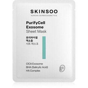 SKINSOO PurifyCell Exosome Sheet Mask zklidňující plátýnková maska 22 g obraz