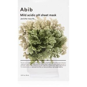 Abib Mild Acidic pH Sheet Mask Jericho Rose Fit hydratační plátýnková maska s osvěžujícím účinkem 30 ml obraz