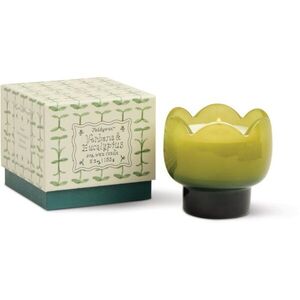 Paddywax Tulip Verbena & Lemongrass vonná svíčka 155 g obraz