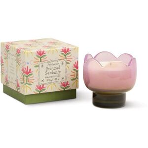 Paddywax Tulip Bronzed Gardenia vonná svíčka 155 g obraz