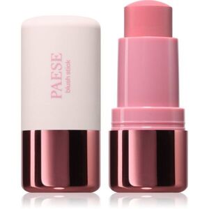 Paese Butter Blend Blush Stick tvářenka v tyčince odstín 05 Pink 6 g obraz