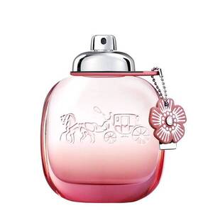 COACH - Coach Floral Blush - Parfémová voda obraz