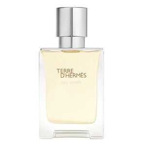 HERMÈS - Terre d’Hermès Eau Givrée - Parfémová voda obraz