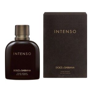 DOLCE & GABBANA - Pour Homme Intenso - Parfémová voda obraz