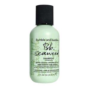 BUMBLE AND BUMBLE - Seaweed Shampoo - Šampon na vlasy obraz