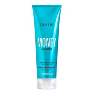 COLOR WOW - Money Laundering – Hydratační šampon obraz