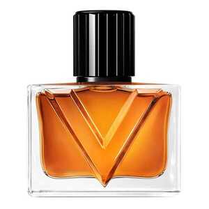 VALENTINO - Vendetta Uomo - Parfémovaná voda obraz
