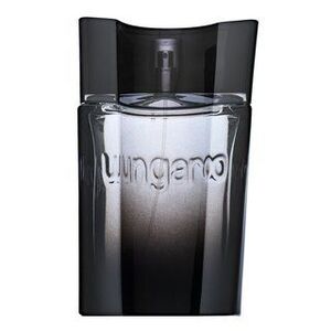Emanuel Ungaro Ungaro Masculin toaletní voda pro muže 90 ml obraz