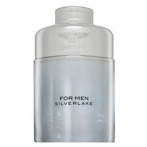 Bentley Silverlake parfémovaná voda pro muže 100 ml obraz