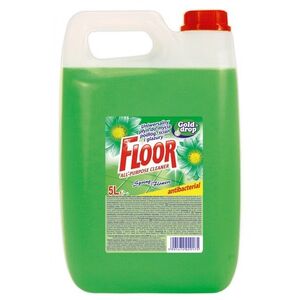 Floor na podlahy Spring 5l obraz