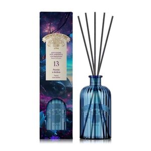 Compagnia Delle Indie N13 Peonia e Ambra vonné tyčinky 1000ml obraz