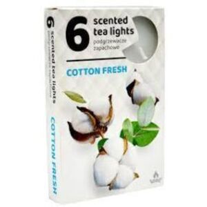Admit Parafínová čajová sviečka Cotton Fresh 6 ks, obraz