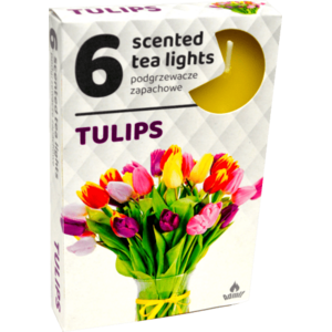 Admit Parafínová čajová sviečka Tulipán 6 ks, obraz
