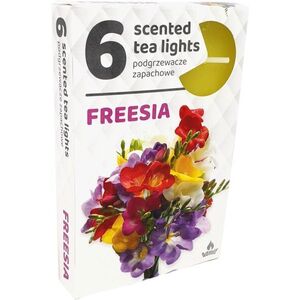 Admit Parafínová čajová sviečka Freesia 6 ks, obraz