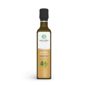 Borůvkový třtinový sirup 250 ml - Green idea obraz