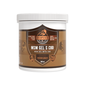 MSM gel s CBD – 500 ml – Green idea obraz