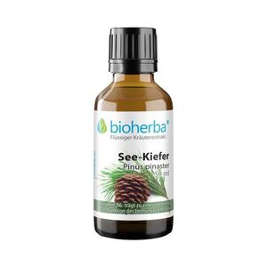 Borovice přímořská - tinktura kapky - 50 ml - Bioherba obraz