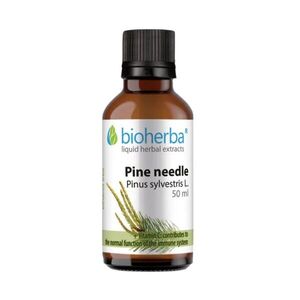 Borovicové výhonky – tinktura kapky – 50 ml – Bioherba obraz