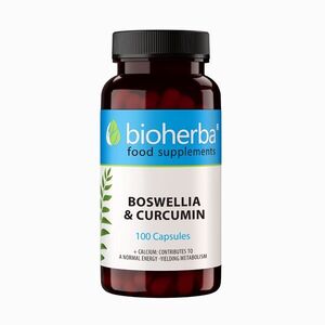 Boswellia a kurkumin – 100 kapslí – Bioherba obraz