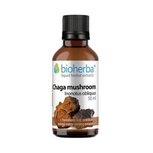 Čaga – tinktura kapky – 50 ml – Bioherba obraz