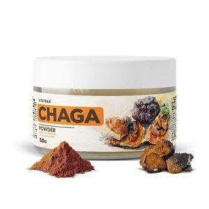 Čaga prášek – 50 g – Vitateka obraz