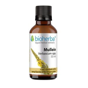 Divozel – tinktura kapky – 50 ml – Bioherba obraz