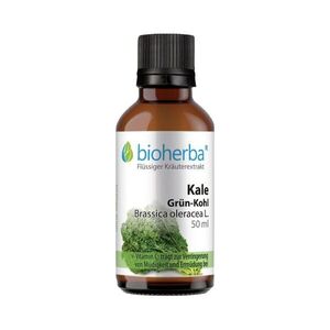 Kadeřávek – tinktura kapky – 50 ml – Bioherba obraz