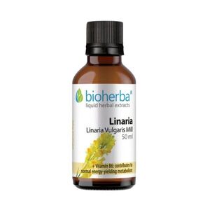 Lnice obecná – tinktura kapky – 50 ml – Bioherba obraz
