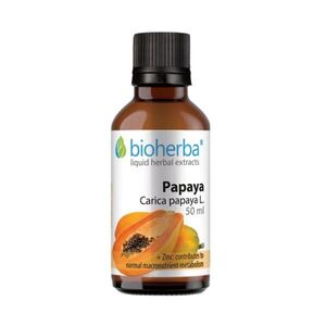 Papája – tinktura kapky – 50 ml – Bioherba obraz