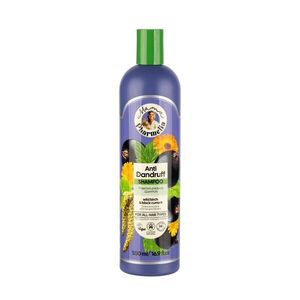 Šampon proti lupům s břízou a černým rybízem - 500 ml - Mama Pharmelia obraz