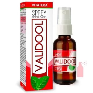 Validol sprej – doplněk stravy – 20 ml – Vitateka obraz