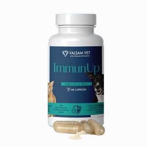 IMMUNUP - podpora imunity pro psy a kočky 60 kapslí - Valsam Vet obraz