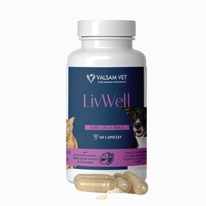 LIVWELL - podpora jater a metabolismu pro psy a kočky 60 kapslí - Valsam Vet obraz