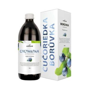 Borůvková šťáva – 500 ml – Nefdesanté obraz