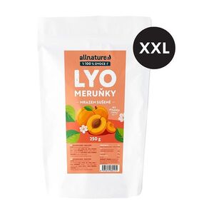 ALLNATURE Meruňky sušené mrazem XXL 250 g obraz