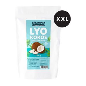ALLNATURE Kokos sušený mrazem XXL 250 g obraz