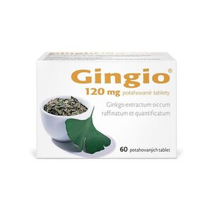 GINGIO 120 mg 60 potahovaných tablet obraz