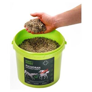 LEROS Pulmoran horse 1 kg obraz