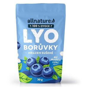 ALLNATURE Borůvka sušená mrazem celá 30 g obraz
