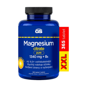 GS Magnesium citrate pure +XXL B6 365 tablet obraz