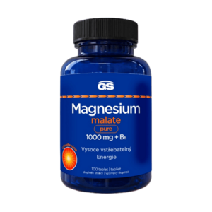 GS Magnesium malate pure 1000 mg + B6 100 tablet obraz