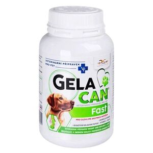 GELACAN Fast 150 g obraz
